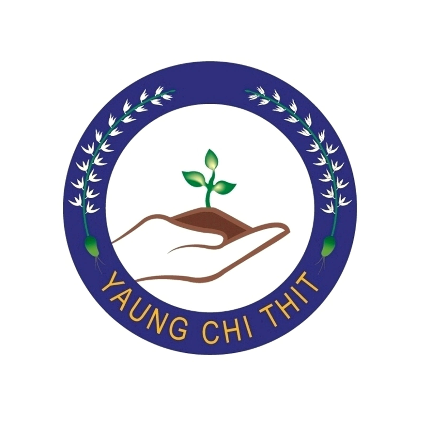 YAUNG CHI THIT (NGO)